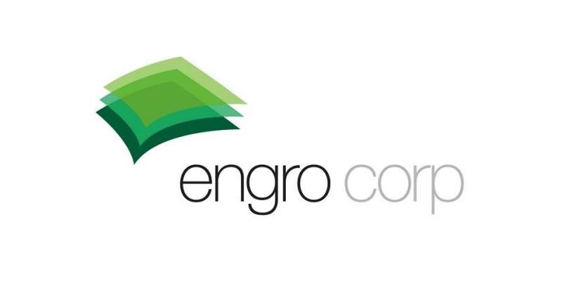 پرائیویٹ شعبہ توانائی بحران پر قابو پاسکتا ہے، اینگرو گروپ