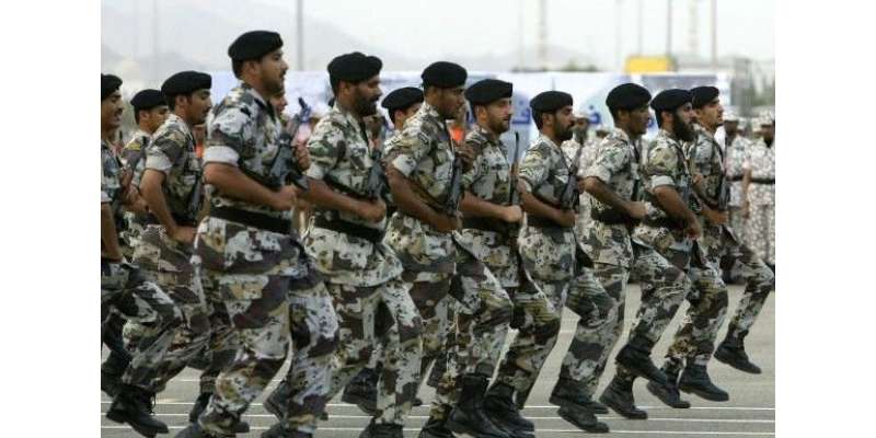مصر اور سعودی عرب کا مشترکہ جنگی مشقوں کا فیصلہ