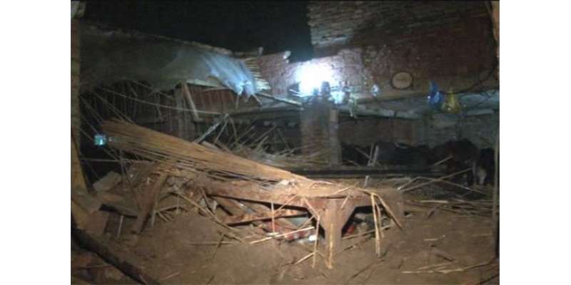 پشاور : بارش کے باعث ہونے والے حادثات میں 47 افراد جاں بحق جبکہ 224 افراد ..
