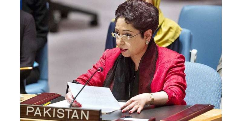 پاکستان نے اقوام متحدہ کی سلامتی کونسل سے فلسطین کا مسئلہ حل کرنے کا ..