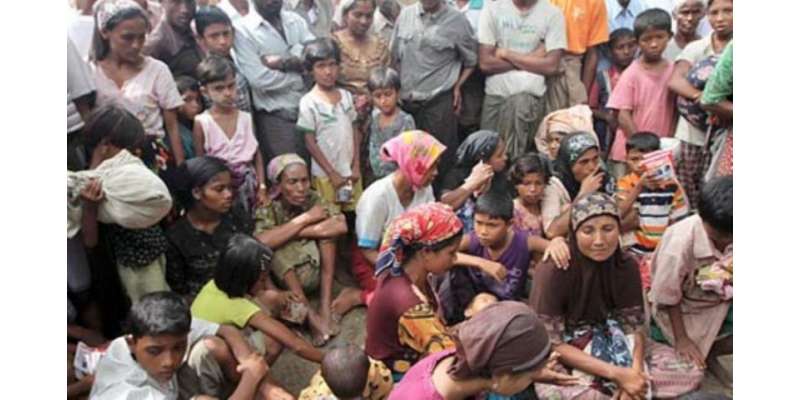 روہنگیا مسلمانوں کی نسل کشی پر اقوام متحدہ ،اوآئی سی اور دیگر عالمی ..