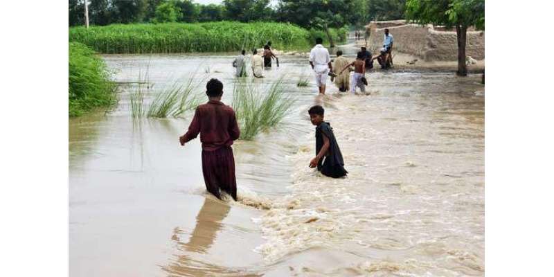 دریائے سندھ کی تباہ کاریاں جاری ، جنوبی پنجاب کی لاکھوں ایکڑ کی فصلیں ..