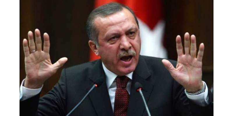 ترکی نے امریکہ کود عش کے خلاف ترک ایئربیس کے استعمال کی اجازت دیدی