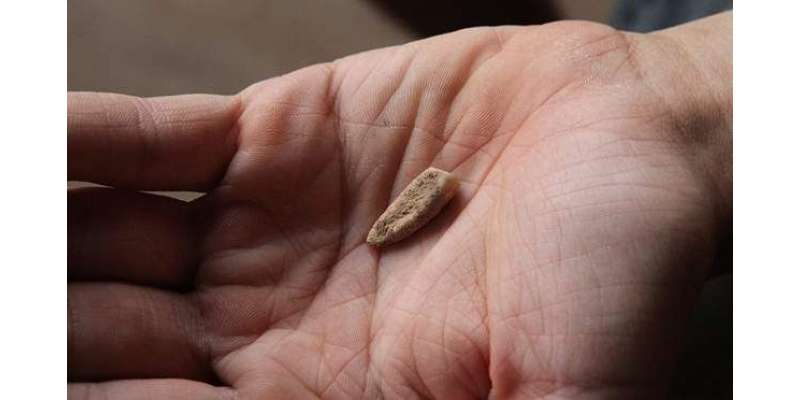 فرانسیسی ماہرین آثار قدیمہ کا ساڑھے پانچ لاکھ سال سال پرانا انسانی ..