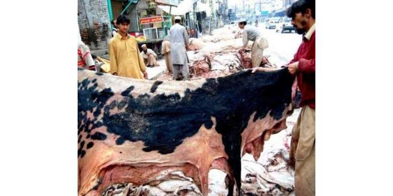 کراچی میں عید الاضحی پر گھر گھر جا کر قربانی کی کھالیں جمع کرنے پر پابندی ..