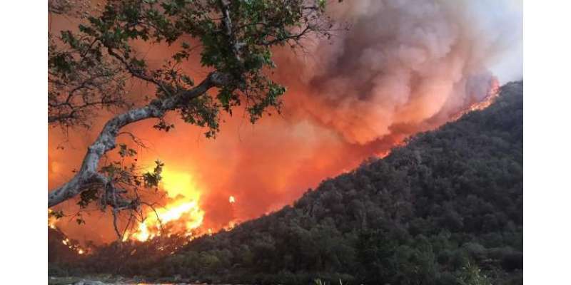 کیلیفورنیا میں لگی آگ کے باعث مجموعی طور پر ایک ہزار کے قریب مکانات ..