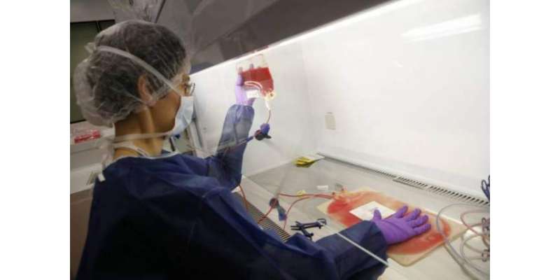 سائنسدانوں نے اتفاقیہ طور پر ملیریا سے کینسر کا ممکنہ علاج دریافت کر ..