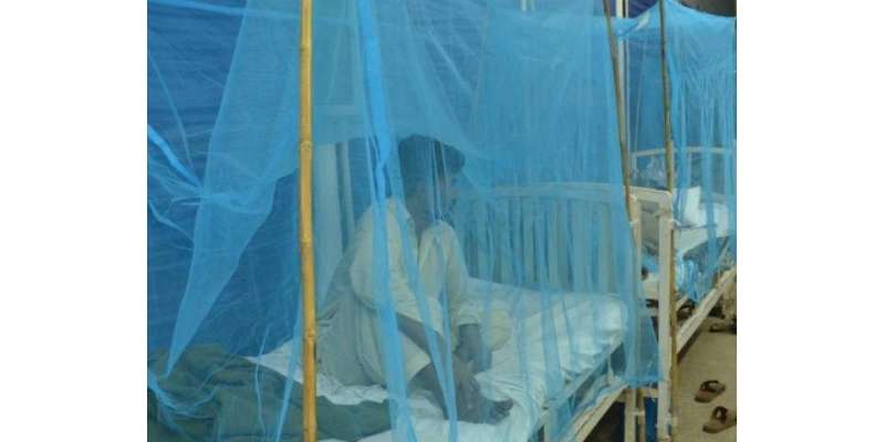 راولپنڈی : ڈینگی کی صورتحال شدت اختیار  کر گئی، سرکاری اسپتالوں میں ..