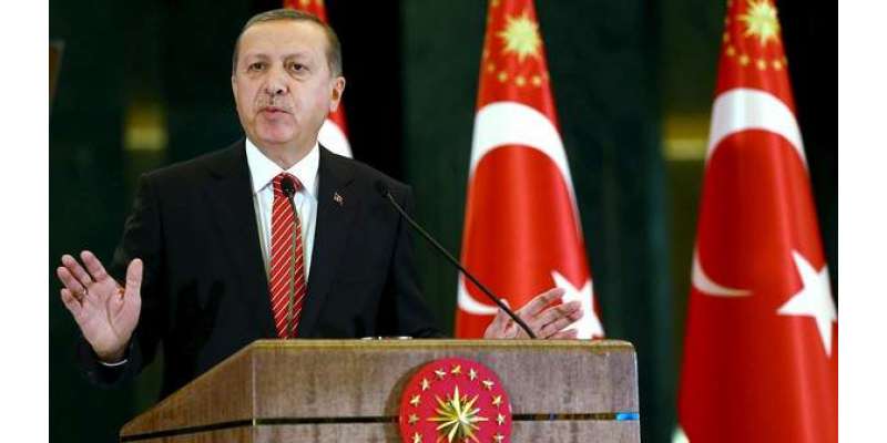 روس کے ساتھ کشیدگی میں اضافہ نہیں چاہتے : ترک صدر
