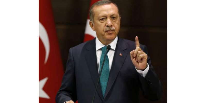 روس کے ساتھ کشیدگی میں کسی صورت اضافہ نہیں چاہتے: ترک صدر