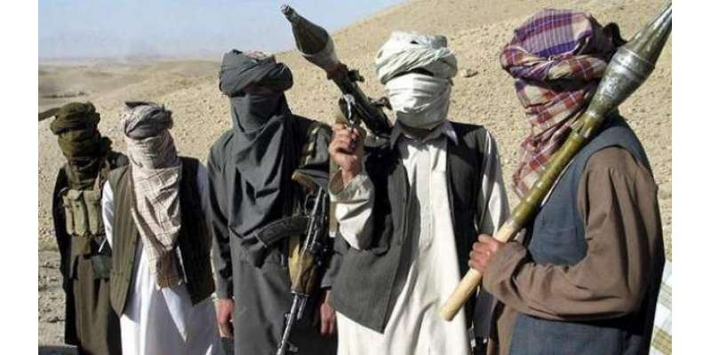 افغانستان میں طالبان دور حکومت کے وزیر مواصلات ملا طبیب کینسر کے باعث ..