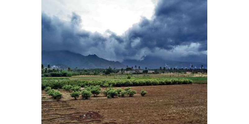 ریاست تامل ناڈومیں شدید بارشوں اورسیلاب نے تباہی مچادی