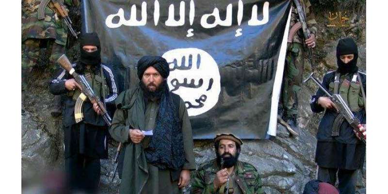 افغان طالبان کو  بڑا دھچکا، کئی دھڑوں نے داعش کی حمایت کردی