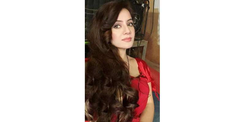 گلوکارہ رابی پیر زادہ نے شہداء اے پی ایس پشاور کو خراج عقیدت پیش کرنے ..