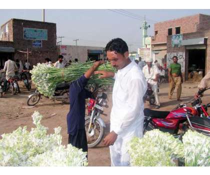 پاکستان میں پھولوں کی خرید و فروخت کی سب سے بڑی منڈی گہلن پلاٹ‘تحصیل ..
