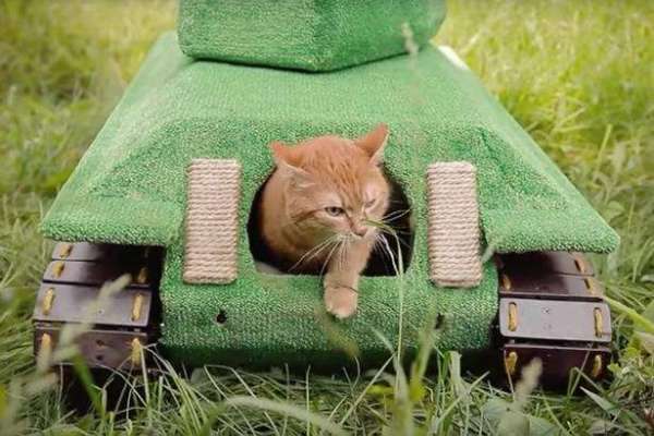 روس نے بلیوں کے لیے بھی ٹینک بنا دیا۔ اب بلیوں کو کتوں سےڈرنے کی ضرورت ..