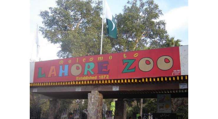 لاہور ٗچڑیا گھر کی انٹری ٹکٹ کی قیمتوں میں آٹھ سال بعد اضافہ کردیا گیا