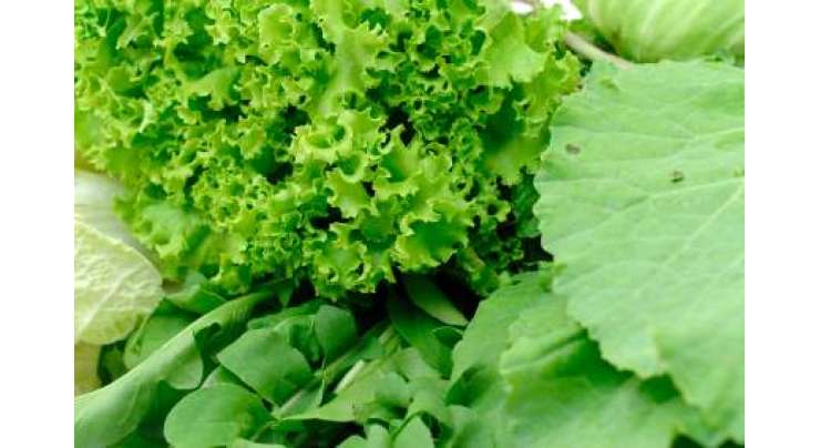 سبز پتوں والی سبزیوں کا استعمال بڑھاپے میں بینائی کی محرومی کی روک تھام میں مددگار ثابت ہوسکتا ہے‘ طبی تحقیق