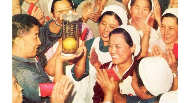 پا کستانی آ م کو چین میں گزشتہ 50سال سے مقدس پھل کی حیثیت حا صل