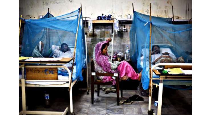 کراچی میں ڈینگی وائرس پھیلنے لگا،مزید 29 کیس سامنے آ گئے،رواں سال متاثرہ افراد کی تعداد380 ہوگئی