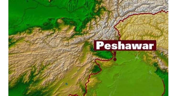 پشاور میں ہوٹل کے کمرے کی تلاشی لینے پر مشکوک شخص نے پولیس پر فائرنگ کر دی‘ جوابی فائرنگ میں ملزم ہلاک ، کمرے سے خودکش جیکٹ برآمد
