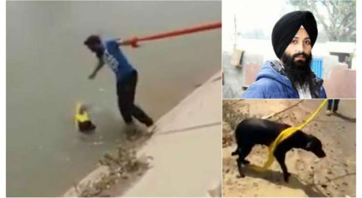 سِکھ آدمی نے ڈوبتے ہوئے کتے کی جان بچانے کے لیے اپنی مذہبی  روایات توڑ دی