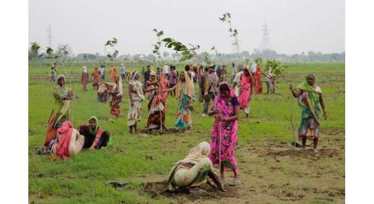 بھارت نے 24 گھنٹوں میں 5کروڑ درخت لگا دئیے۔ایک دن میں‌زیادہ درخت لگانے کا ریکارڈ پہلے پاکستان کے پاس تھا