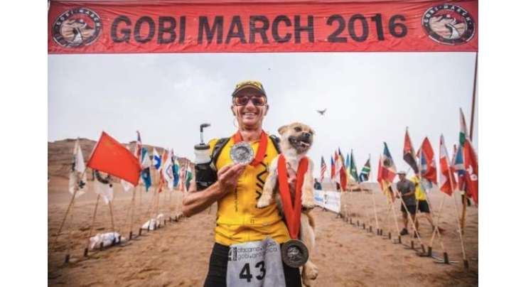 برطانوی شخص نے صحرائے گوبی میں اپنے ساتھ 250کلومیٹر دوڑنے والے اجنبی کتے کو برطانیہ لے جانے کی تیاری شروع کردی
