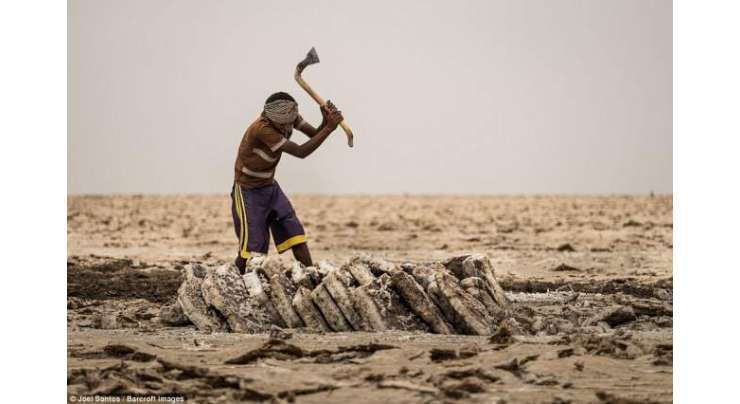 دنیا کا گرم ترین مقام ۔ ایتھوپیا کی نمک کی کانوں میں کام کرنے والے 60سینٹی ڈگری درجہ حرارت پر کام کر تے ہیں