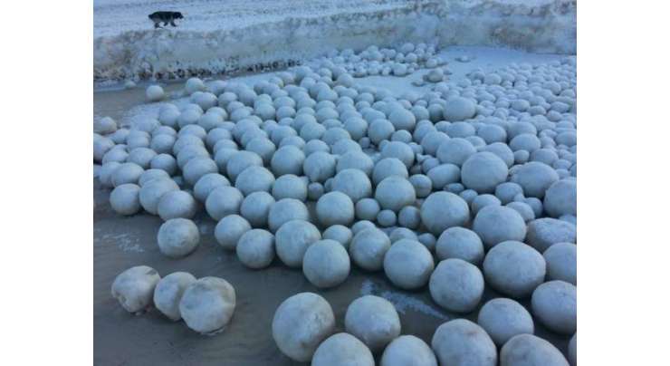 نایاب قدرتی برف کی گیندوں نے سارا ساحل ڈھانپ لیا
