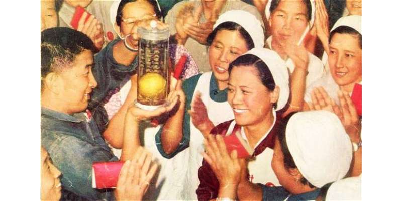 پا کستانی آ م کو چین میں گزشتہ 50سال سے مقدس پھل کی حیثیت حا صل