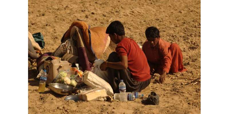 سندھ حکومت کاتھر میں گندم کی آٹھویں قسط تقسیم کرنے کا فیصلہ،غذائی قلت ..