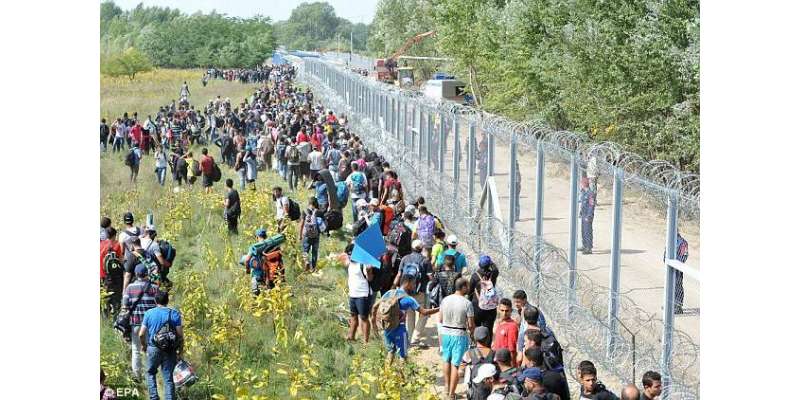 ہنگری میں 250 پاکستانیوں سمیت 1500تارکین وطن گرفتار