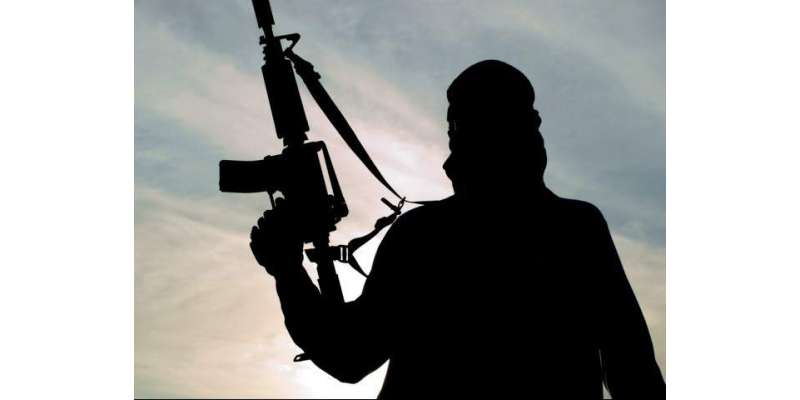 طالبان کی کوئٹہ شوری ضلع موسیٰ قلعہ میں افغان سیکورٹی فورسز کے خلاف ..