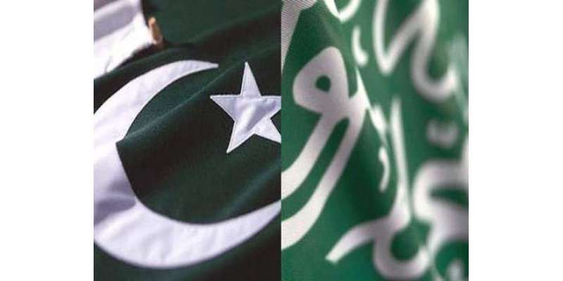 سعودی عرب پاکستان کو اپنا اہم تجارتی پارٹنر سمجھتا ہے، عبداللہ مرذوق ..