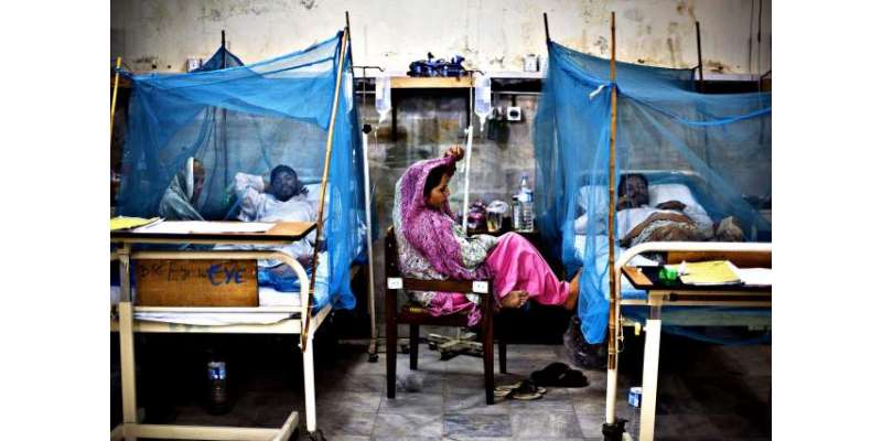 کراچی میں ڈینگی وائرس پھیلنے لگا،مزید 29 کیس سامنے آ گئے،رواں سال متاثرہ ..
