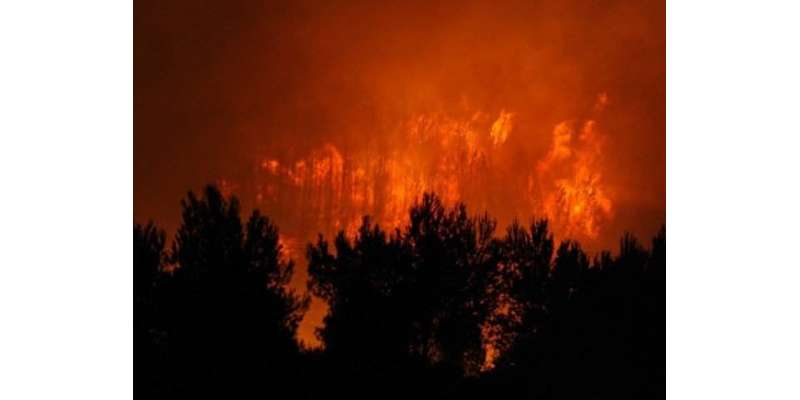 اسلام آباد کی مارگلہ پہاڑیوں پر بڑے پیمانے پر آگ بھڑک اٹھی