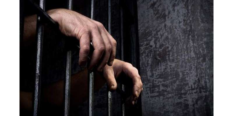 مختلف ممالک کی جیلوں میں قید 8833 پاکستانیوں کو قانونی مدد فراہم کی جائے، ..