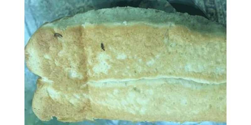 راس الخیمہ: میونسیپیلٹی نے ڈبل روٹی سے حشرات نکلنے پر بیکری سِیل کر ..
