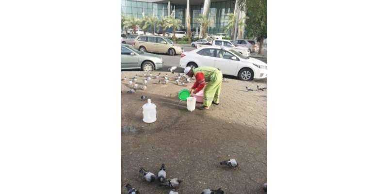 مکہ:ایشیائی شہری کاسخت گرمی میں مختلف چوراہوں پر کبوتروں کے لیئے پانی ..