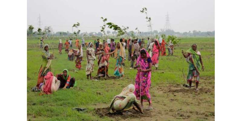 بھارت نے 24 گھنٹوں میں 5کروڑ درخت لگا دئیے۔ایک دن میں‌زیادہ درخت لگانے ..