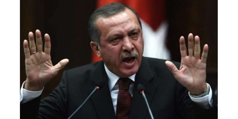 ترکی کے صدر رجب طیب اردگان کی مغربی ممالک پر شدید تنقید-مغرب دہشتگردی ..