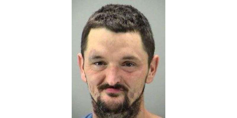 امریکی ریاست اوہائیو میں وین کیساتھ نازیبا حرکات کرنے والا شخص گرفتار