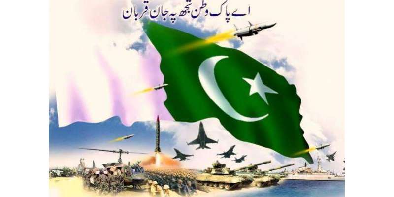6 ستمبر کو عام تعطیل کا اعلان کیا جائے ۔ پاکستان تحریک انصاف نے وفاقی ..