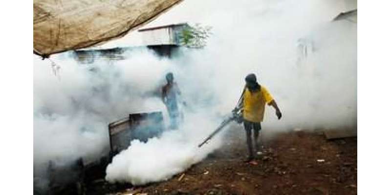 عالمی ادارہ صحت نے سری لنکا کو ملیریا فری ملک قرار دے دیا