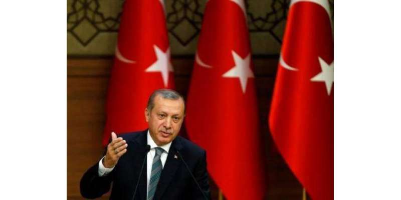 موصل کی بازیابی ترکی کے بغیر ممکن نہیں٬ ترک صدر