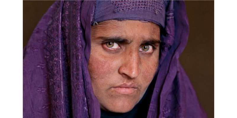 شربت گلہ کی رہائی کے لیے افغان حکومت کا پاکستان سے رابطہ، آیندہ 24 گھنٹے ..