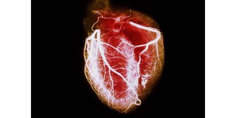 کافی امراض قلب سے بچائو کے لئے مفید ہے،امریکی ماہرین
