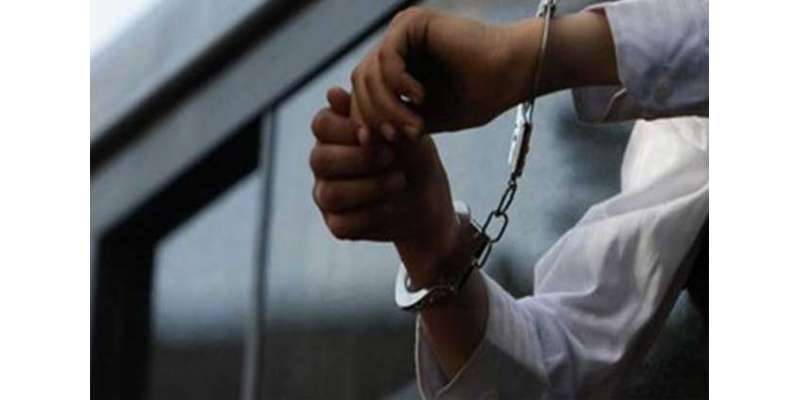 عمان میں 17شاہینوں کو سمگل کرنے والے ملزم گرفتار