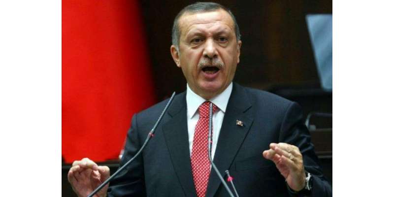 دہشتگردوں کواسلحہ مغرب سے مل رہاہے۔ترک صدر